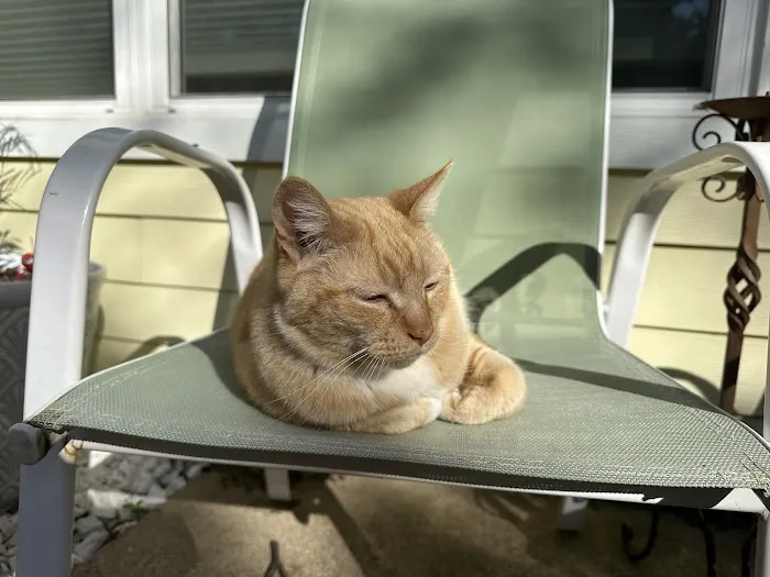 Buttercup Veterinary Hospital 4