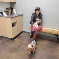 Thrive Pet Healthcare - Cedar Park ico