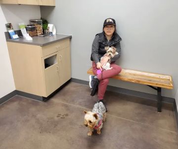Thrive Pet Healthcare - Cedar Park