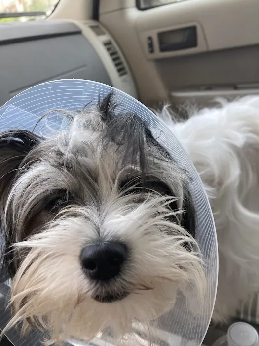 Thrive Pet Healthcare - Cedar Park 2