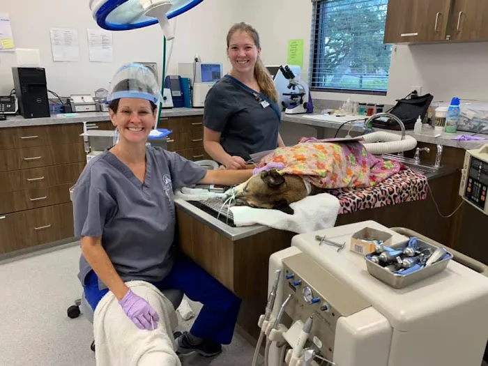 New Hope Animal Hospital 8