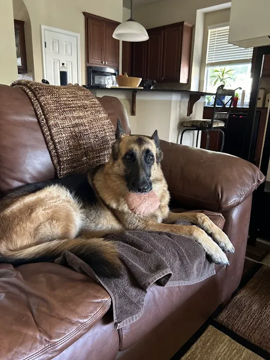 Avery Ranch Animal Hospital 3