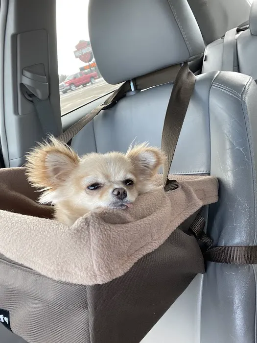 Avery Ranch Animal Hospital 2