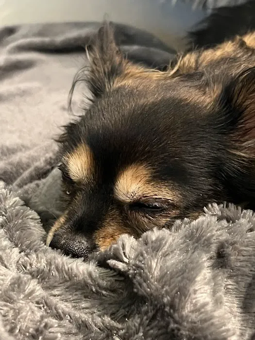 Avery Ranch Animal Hospital 4