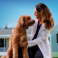 NewDay Veterinary Care ico