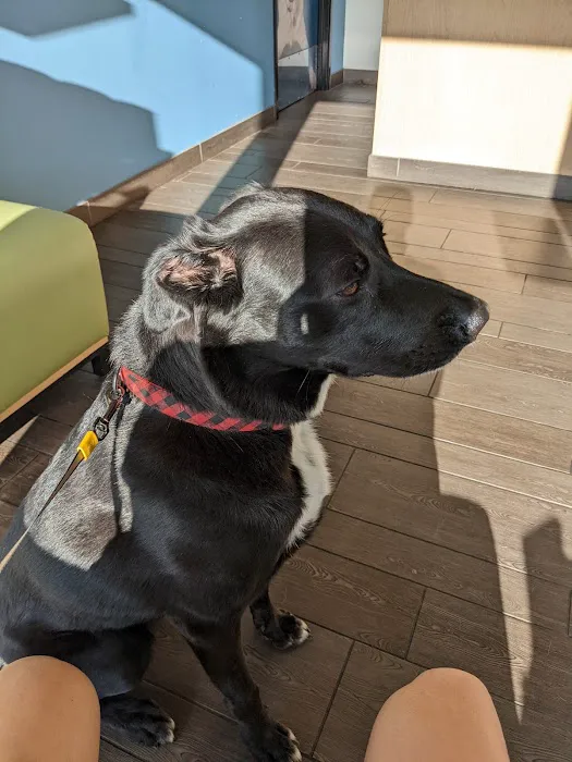 Banfield Pet Hospital 6