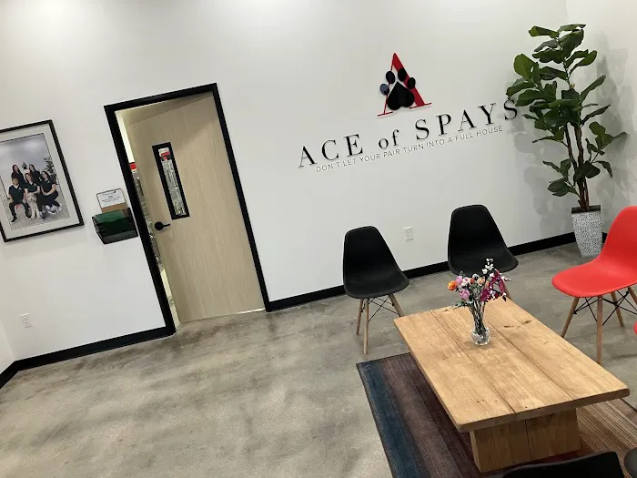 Ace of Spays 5