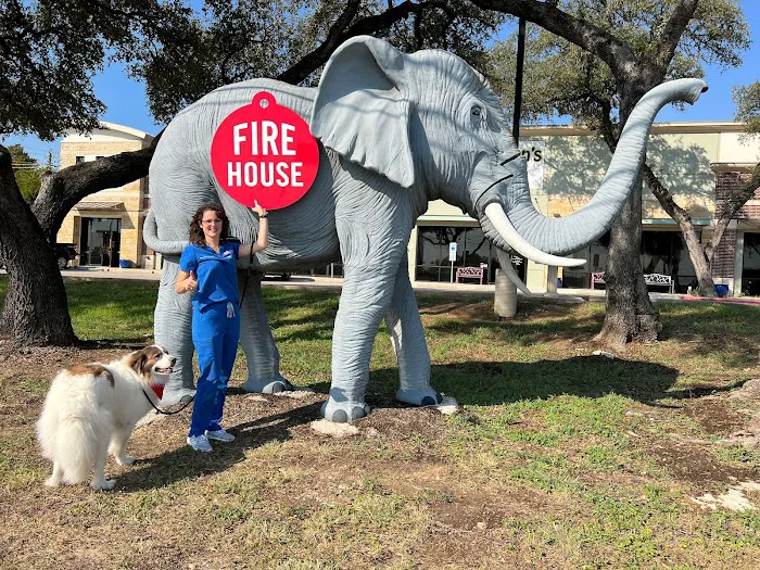 Firehouse Animal Health Center 183 9