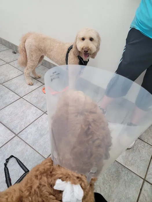 VCA Anderson Mill Animal Hospital 9