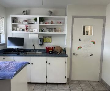 VCA Anderson Mill Animal Hospital