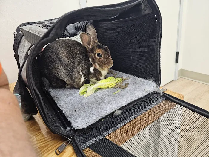 Agave Vet Care & Exotic Animal Hospital 3