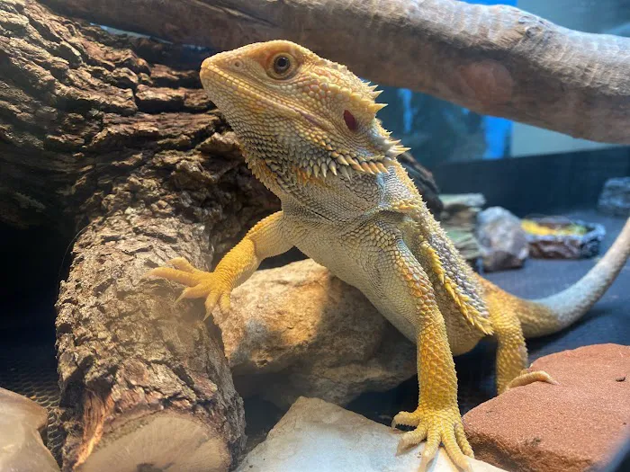 Agave Vet Care & Exotic Animal Hospital 4