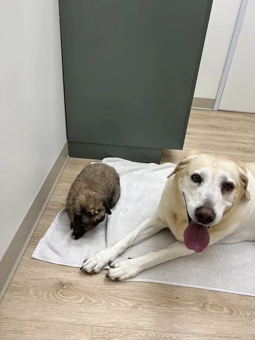 Agave Vet Care & Exotic Animal Hospital 5