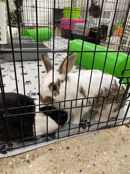 Agave Vet Care & Exotic Animal Hospital 6