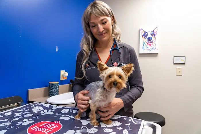 Firehouse Animal Health Center Westlake 5