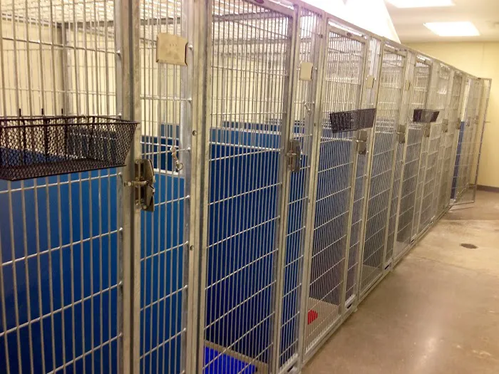 Firehouse Animal Health Center Westlake 8