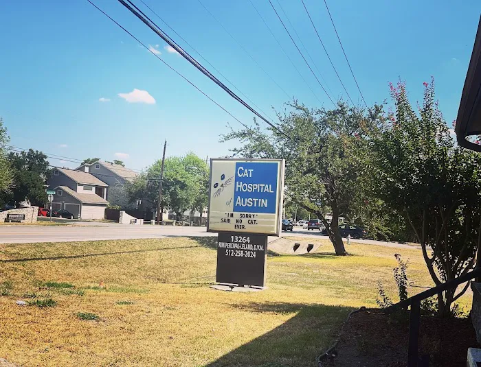 Cat Hospital of Austin 4