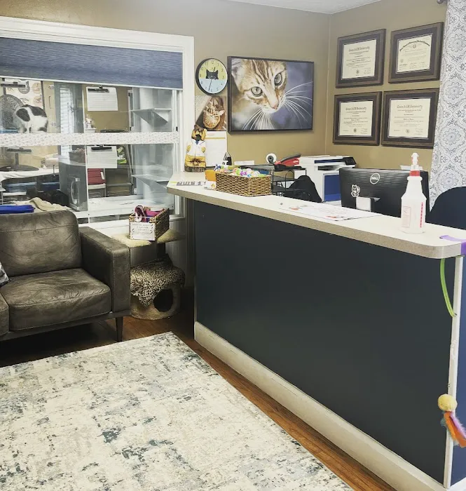 Cat Hospital of Austin 5