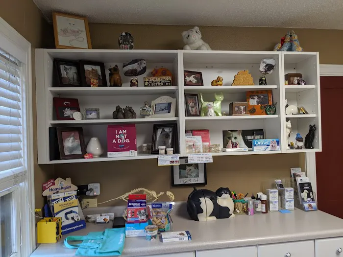 Cat Hospital of Austin 1
