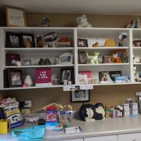 Cat Hospital of Austin ico