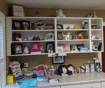 Cat Hospital of Austin