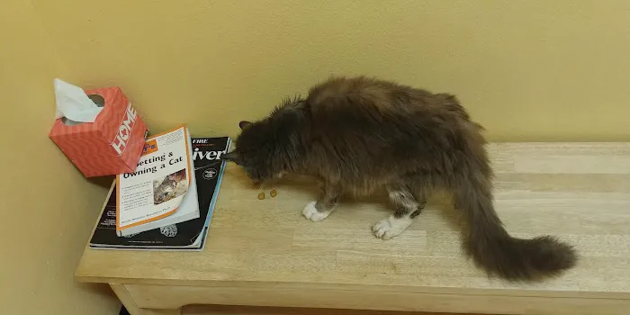 Best Vet 2