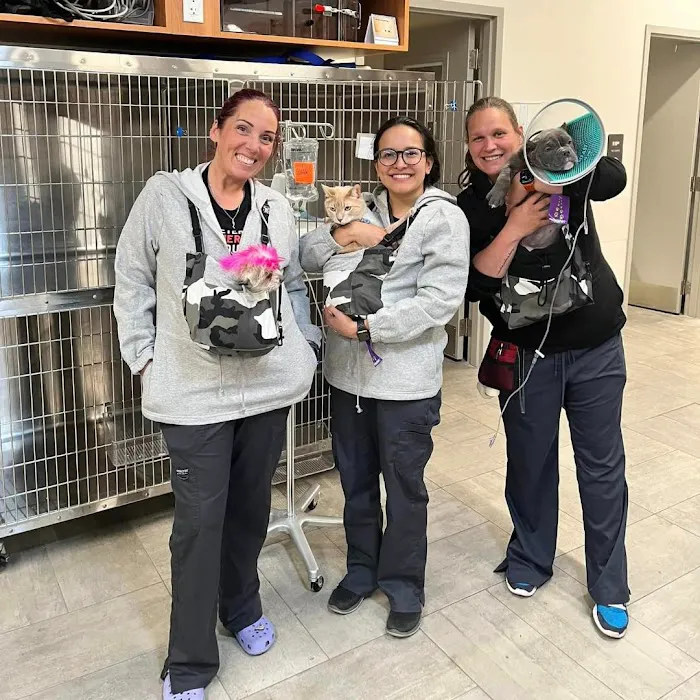 Veterinary Emergency Group 10