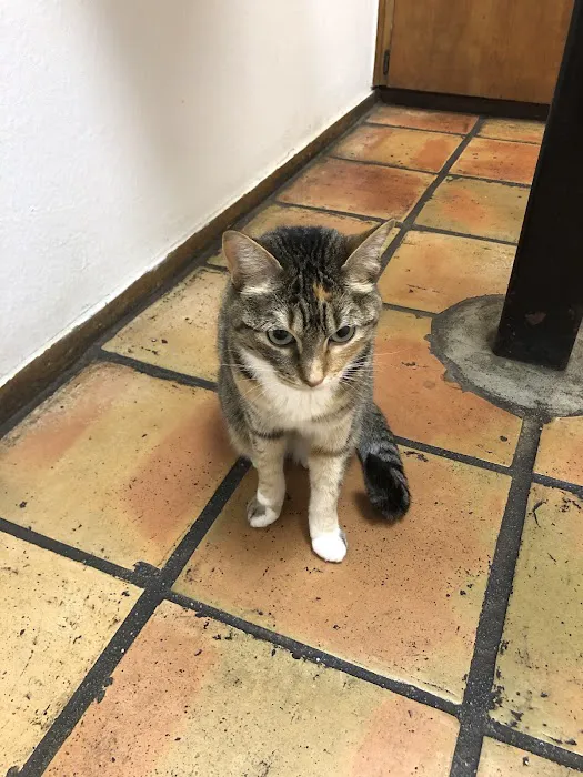 Barton Creek Animal Clinic 1