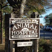 Westlake Animal Hospital, A Thrive Pet Healthcare Partner ico