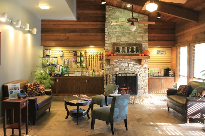 Westlake Animal Hospital, A Thrive Pet Healthcare Partner 3