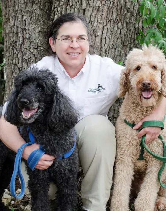 Westlake Animal Hospital, A Thrive Pet Healthcare Partner 8