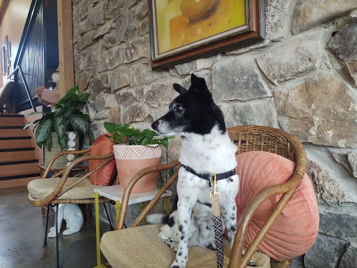 PAZ Veterinary West 8