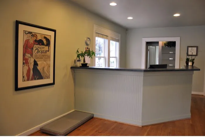 Animal Dermatology Clinic 1