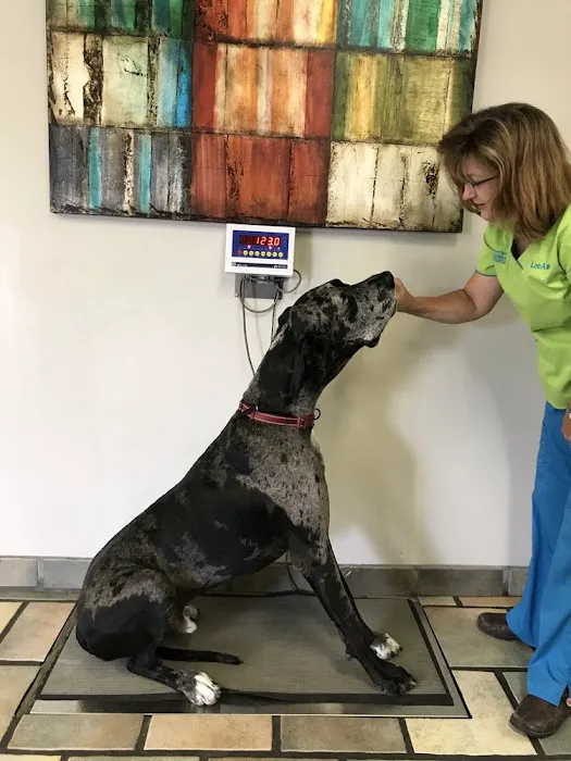 Spicewood Springs Animal Hospital 7