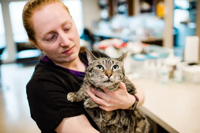 ATX Animal Clinic 10