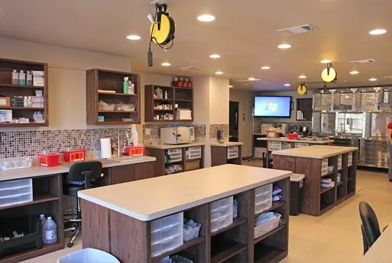 ATX Animal Clinic 2