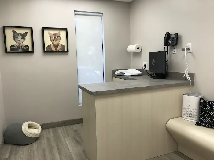 Spicewood Springs Cat Hospital 8