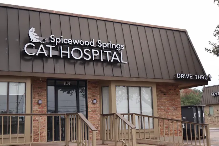 Spicewood Springs Cat Hospital 10