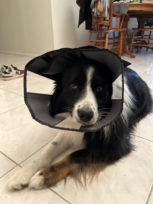 Far West Veterinary Clinic 7