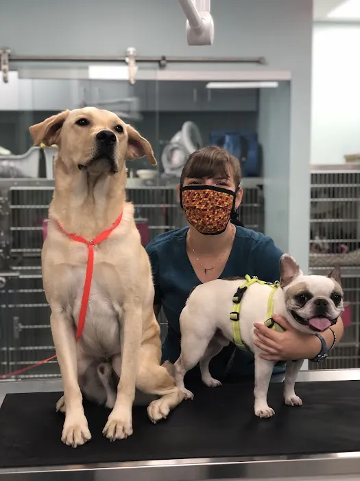 Far West Veterinary Clinic 6