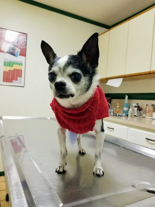 Northwest Veterinary Hospital 7