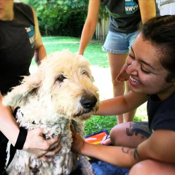 Northwest Veterinary Hospital 10