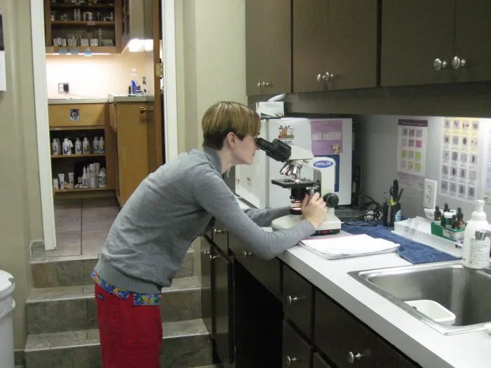 VCA Northwest Hills Animal Hospital 8