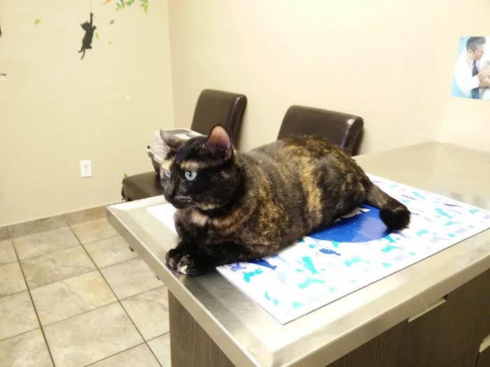 VCA Northwest Hills Animal Hospital 1