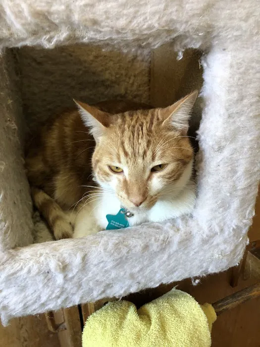 Griffith Small Animal Hospital 2