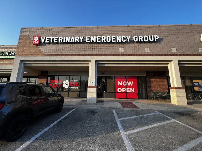 Veterinary Emergency Group 4