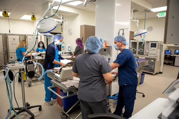 VCA Capital Area Veterinary Specialists 9