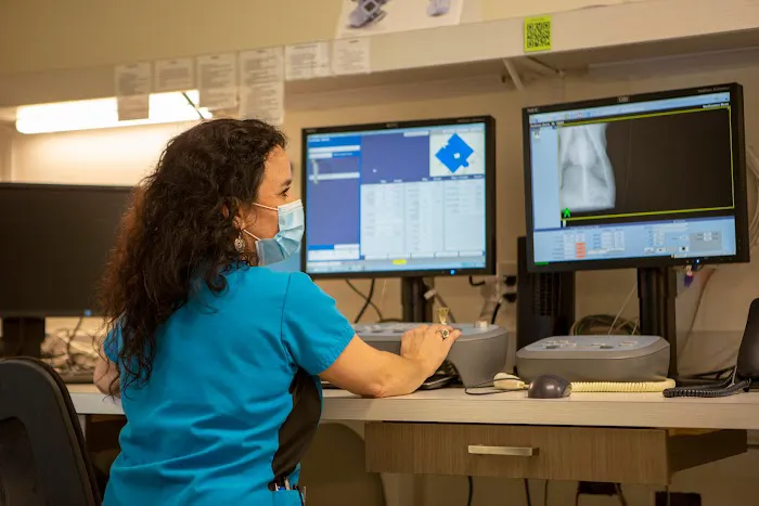 VCA Capital Area Veterinary Specialists 4