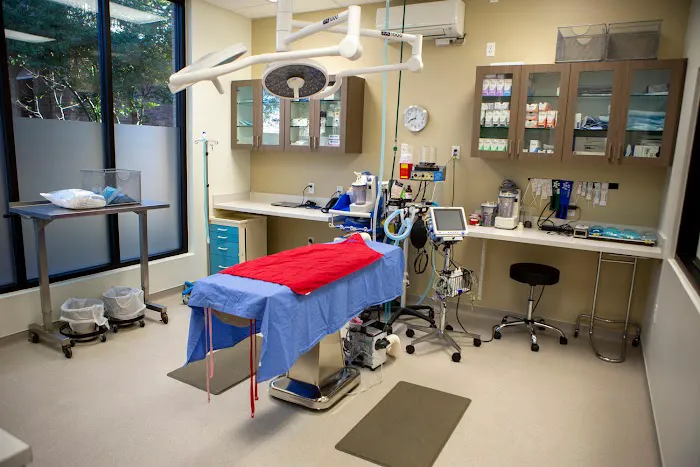 VCA Capital Area Veterinary Specialists 10