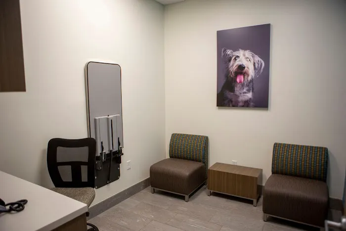 VCA Capital Area Veterinary Specialists 6